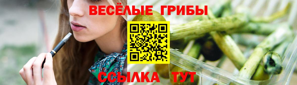 Псилоцибиновые грибы Psilocybine cubensis Россошь